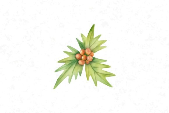Watercolor Christmas Holly Berries Illustrations